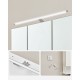 Szafka łazienkowa z lustrem i oświetleniem LED biała 70x14,5x70 cm VASAGLE