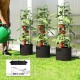 Podwyższona donica z kratownicą do pomidorów 120 cm Outsunny zestaw 3 szt.