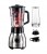 Blender kielichowy + bidon 2w1 Russell Hobbs 23821-56 600W